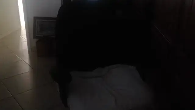 joeydee1 现场XXX聊天