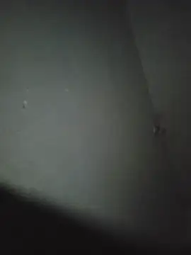 Chat XXX en directo de Geespise