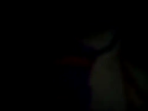 Sheela-Bhabi XXX чат на живо