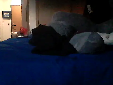 Show webcam de Silencio26