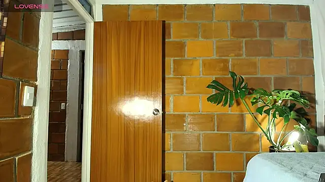skyyfoxpraga live XXX chat