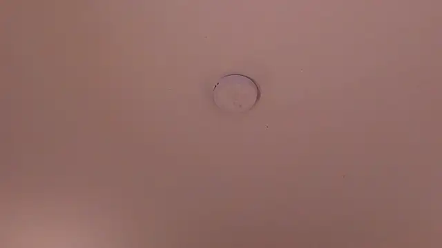 soidai_miiu 即時 XXX 聊天