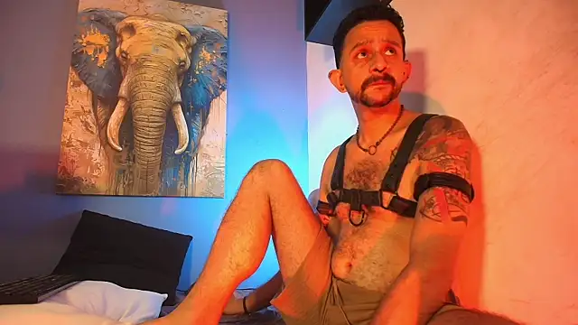 Онлайн чат XXX pigbananax
