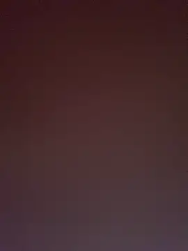Chat XXX en directo de TheDime