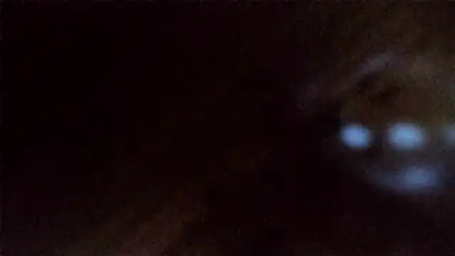 toma876 即時 XXX 聊天