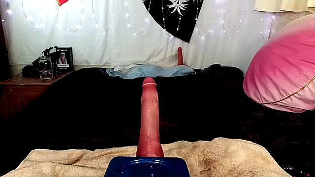 GamerGirlRoxyAndLee Adlı Modelin Canlı XXX Sohbeti
