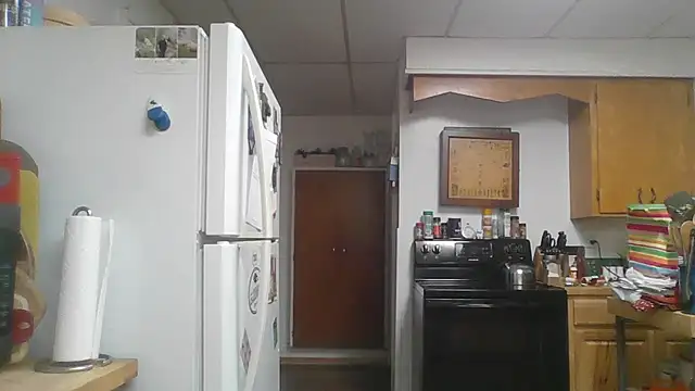 TheOneDonShaun Chat XXX live