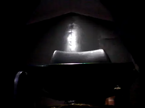 pplayboit Webcam show