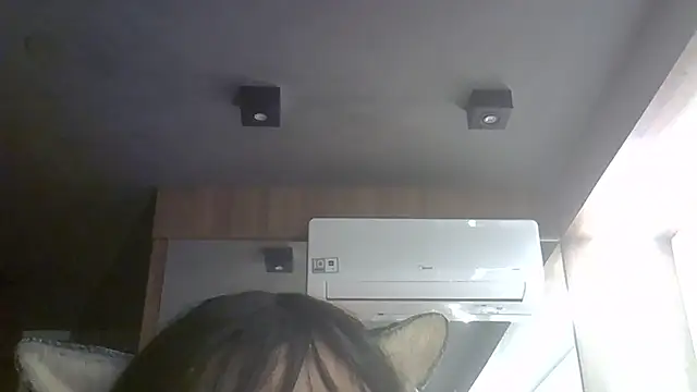 Show de webcam de SkinnyKitten