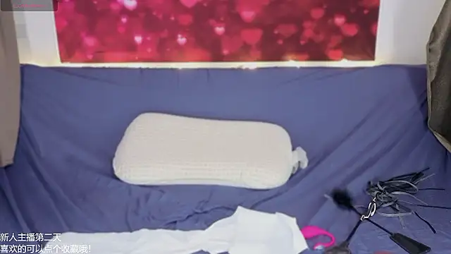 hudie_chan 现场XXX聊天