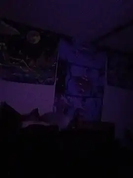 הופעת וובקאם של Justapanda420