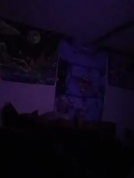 Webkamerová show Justapanda420