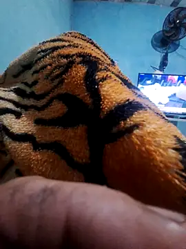 Show de webcam de paf1510