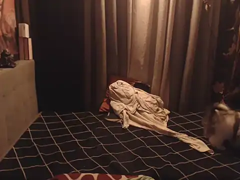 Chat XXX Live YourHotAlexa
