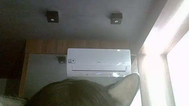 Show de webcam de SkinnyKitten