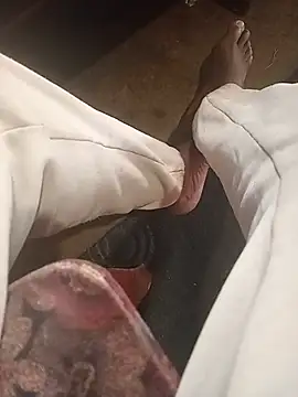 عرض كام WiseDi