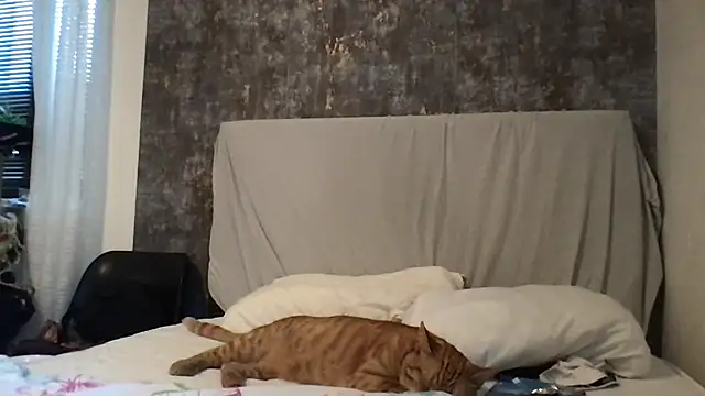 Kittymarlene's Live XXX Chat