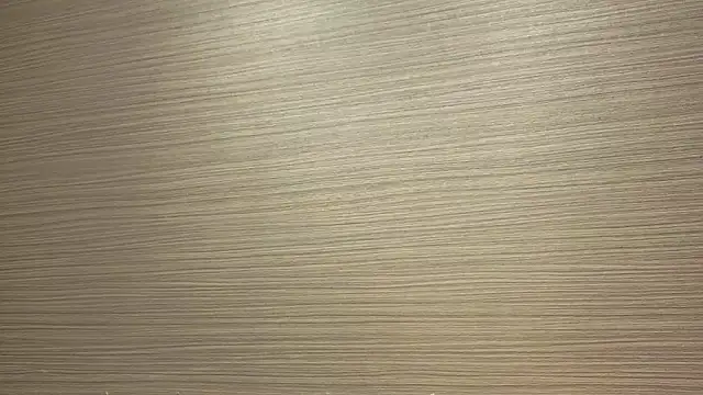 CHROME-kun925 Show Webcam