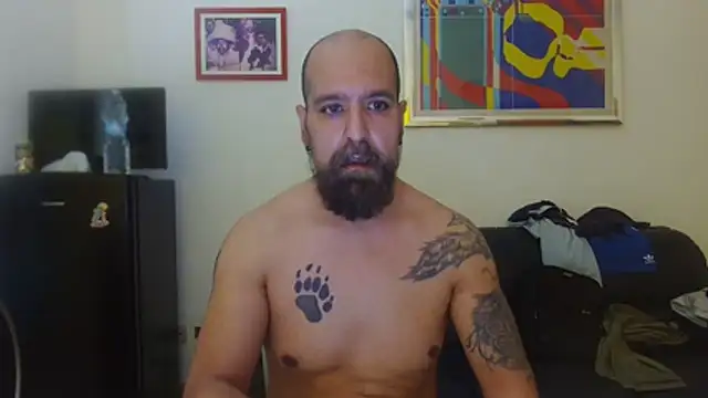 AMIRDIB2025 Chat XXX live