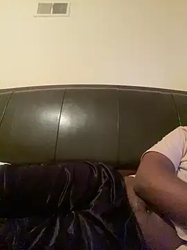 ThickDic28 Show Webcam