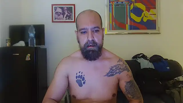 AMIRDIB2025 – Naživo XXX chat