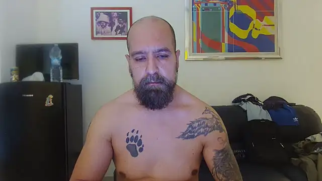 Chat XXX ao vivo de AMIRDIB2025
