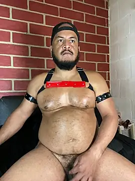 the_master_foal_ Obrolan Langsung XXX