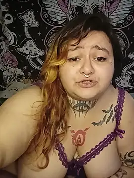 Staicyjanemcflyn Webbikameraesitys