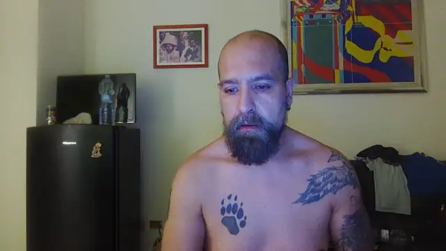 Chat XXX en directo de AMIRDIB2025