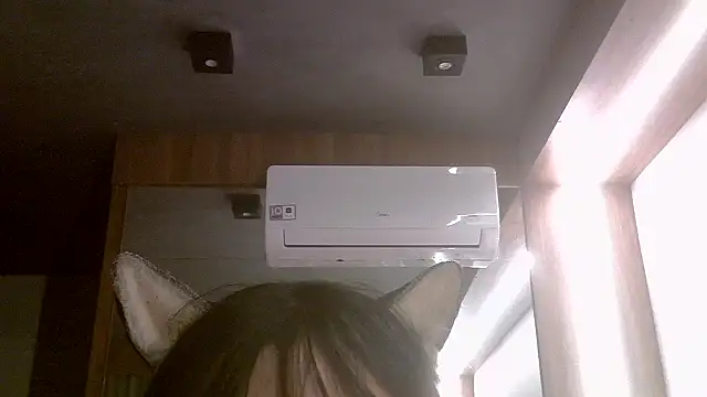 Chat +18 de SkinnyKitten ao vivo