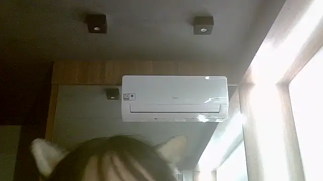 Show de SkinnyKitten na webcam