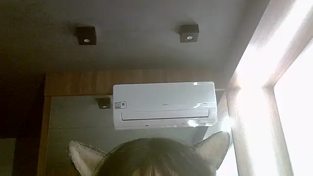 Show de webcam de SkinnyKitten