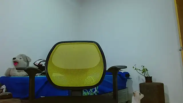 skinny23cm's Live XXX Chat
