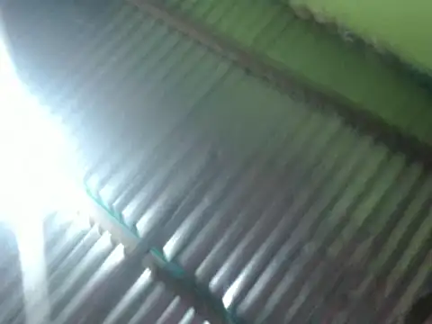Cheliafun's Live XXX Chat