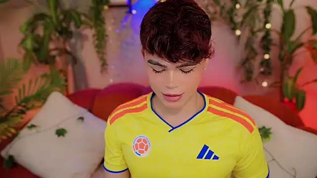 PRINCE_STEVn Webbikameraesitys