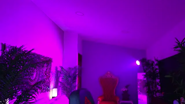 ambarEvans – Live XXX-chat