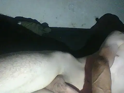 Chat XXX ao vivo de BisexABS