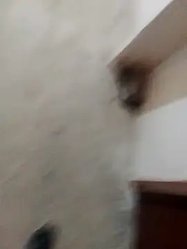 Živý XXX chat Robesz1982