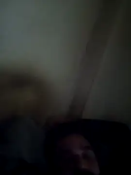 Playbcallb Pertunjukan Webcam