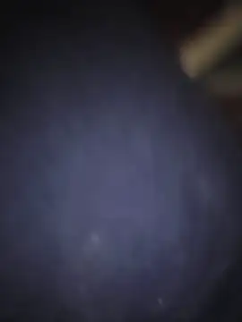 Živý XXX chat piggylatino
