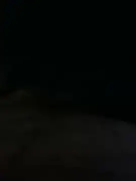 abed_27 Live XXX-chat