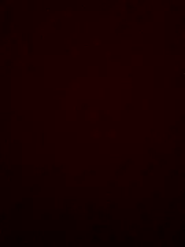 panchorny Webcam-Show
