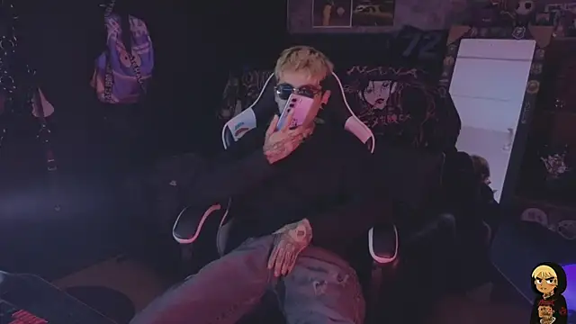 AcidMilo Show Webcam