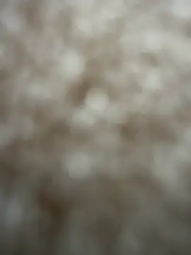 Danimiles 라이브 XXX 채팅