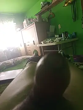 Show webcam de aletz893