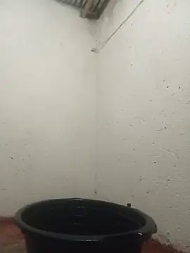 lilpip Webcam Show