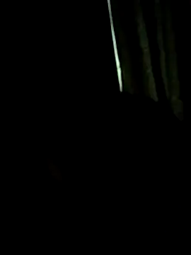 Czat XXX na żywo – humtum2254