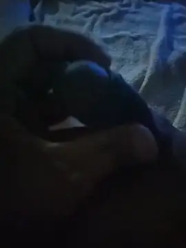Dparechigaaa Webcam show