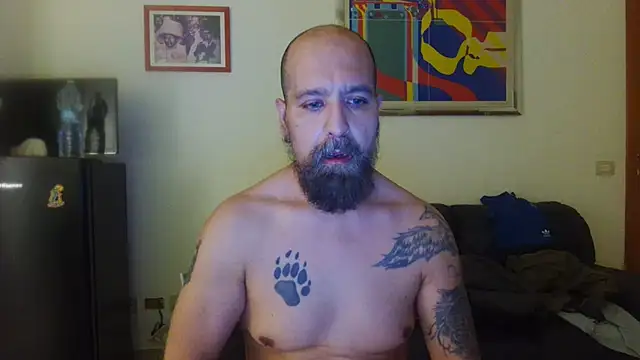 AMIRDIB2025 Chat XXX live