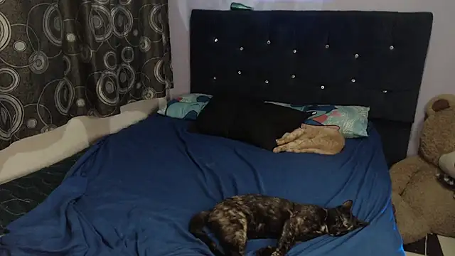 Živý XXX chat ANGELIQUE_KLANE